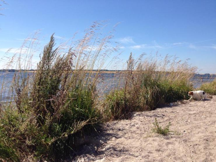 13989604_10206951121837485_424960739_n