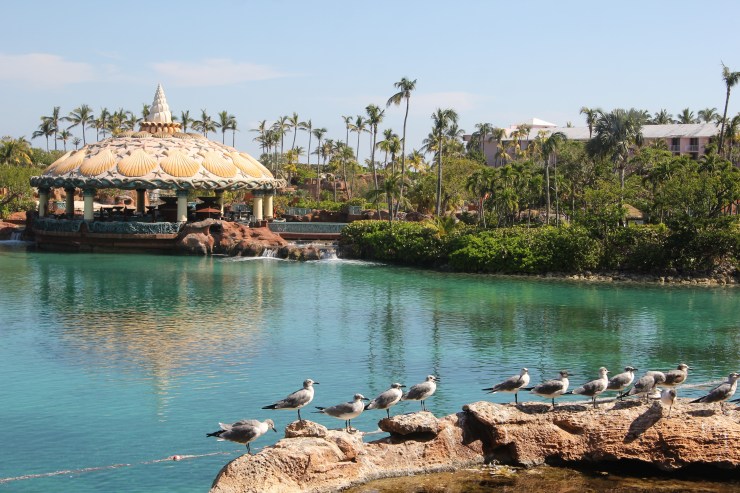 Paradise Island Atlantis Bahamas