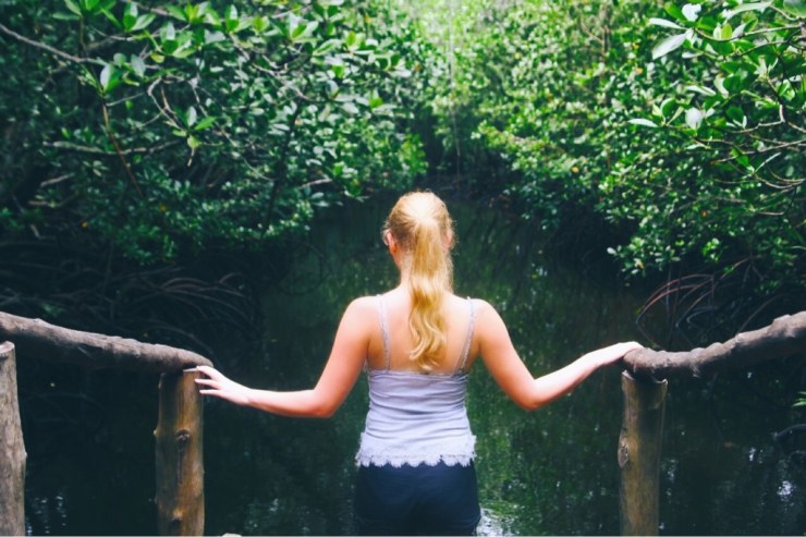 jozani forest mangroven sansibar