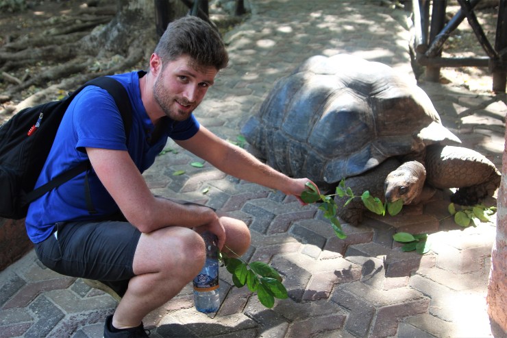 riesenschildkröten prison island sansibar