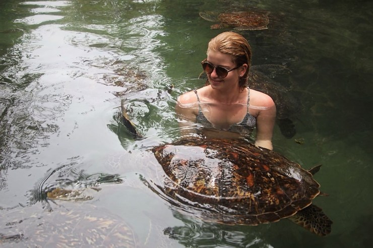 sansibar schwimmen schildkröten nungwi