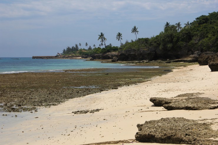 sansibar serena strand spice tour