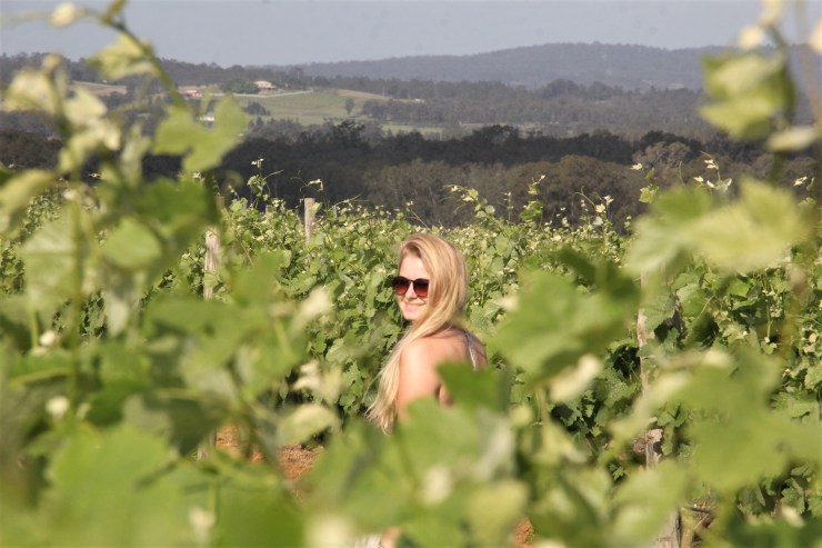 Me Vineyards Hunter Valley Wine NSW