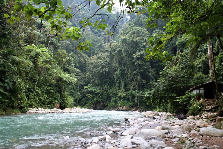 camp dschungel bukit lawang