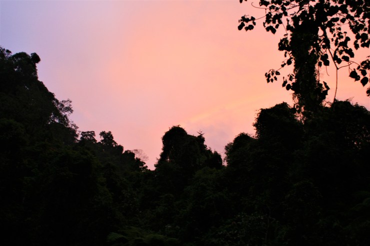 camp sonnenuntergang bukit lawang